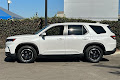 2025 Honda Pilot EX-L+