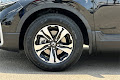 2021 Honda CR-V Special Edition