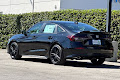 2026 Honda Civic Si